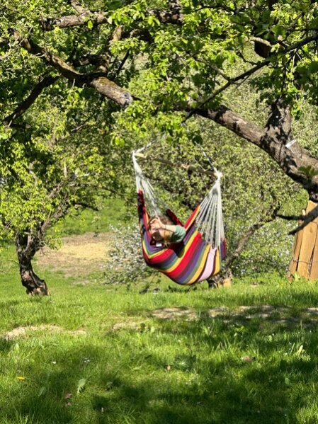 Streuobstwiese mit Picknickdecke und Apfelbäumen