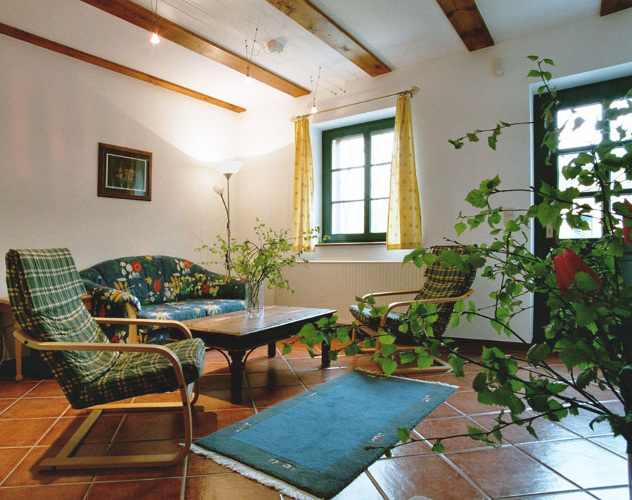 Wohn- und Essbereich Ferrienhaus Eva