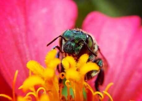 Der Behringhof bekommt einen Lehrpfad zu Klimawandel und Biodiversität